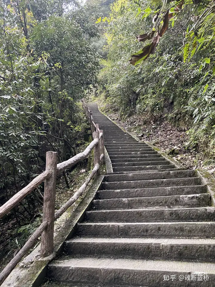 峨眉山非遗申请程序（峨眉山文化遗产艺术馆的玉是真的吗） 第12张