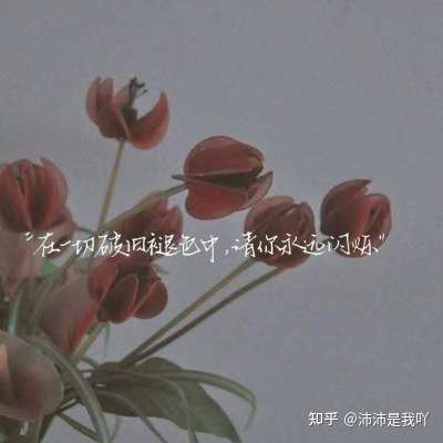 神仙文案