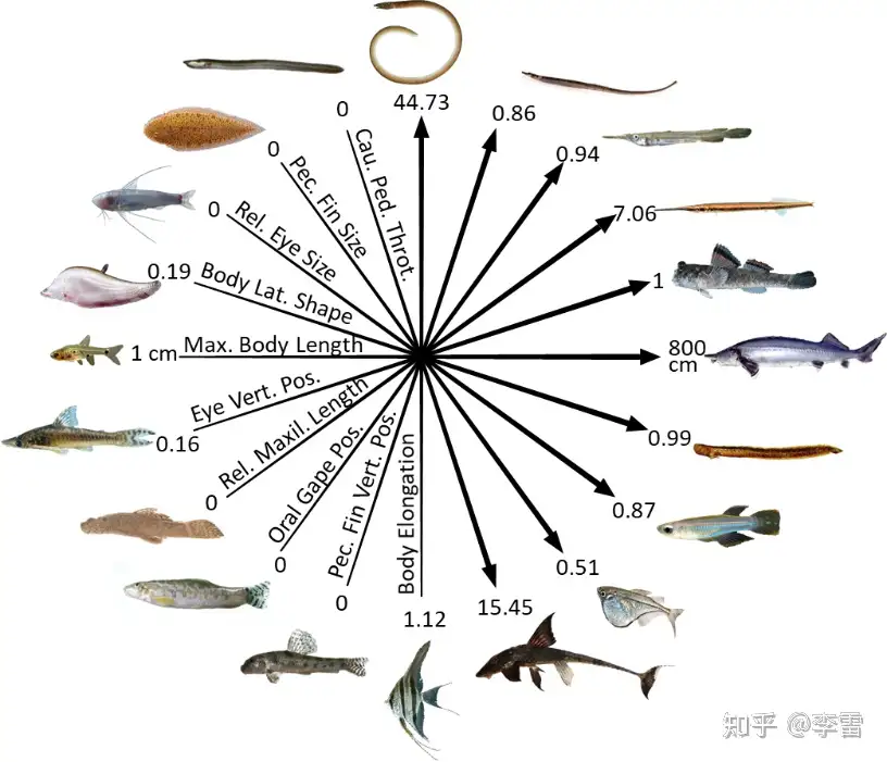 淡水魚保護協会　全24冊