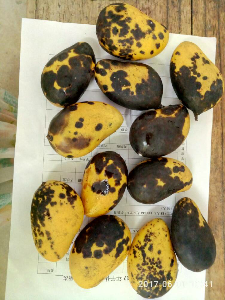 买来的芒果皮有大片黑色是怎么回事?是被化学药品浸泡了吗?