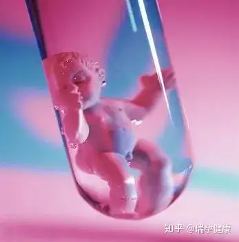 广州生殖试管私立医院（试管婴儿全流程简述）