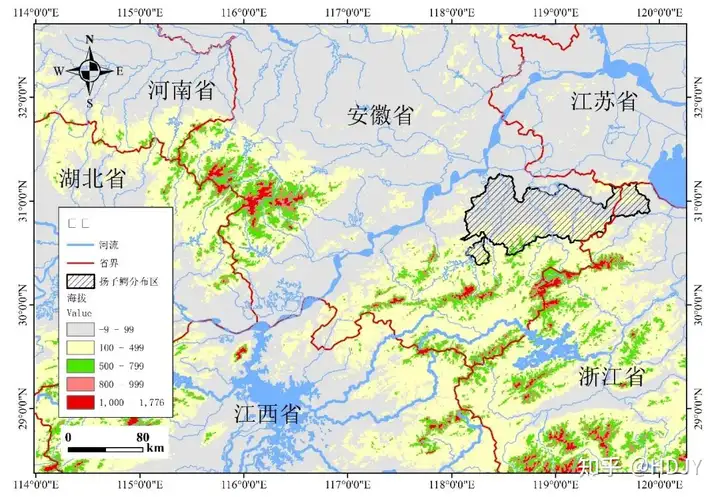 爬行类的活化石——扬子鳄”