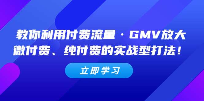 图片[1]-网络付费推广教学课程，利用付费流量·GMV放大，微付费、纯付费的实战型打法！-暗冰资源网