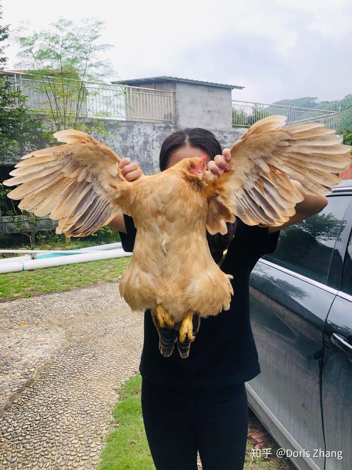 看起十分的沙雕的.