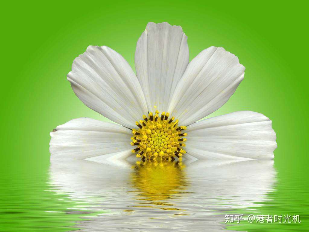 港者时光机 水中花谭咏麟 知乎