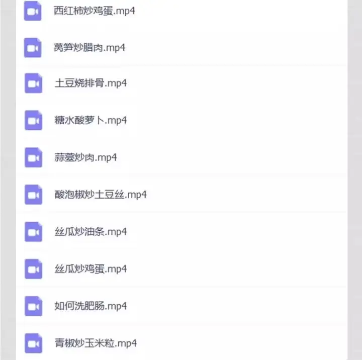 图片[8]-600多种快餐炒菜技术资料教程-商用小炒快餐盒饭大锅菜技术配方炒菜教学视频外卖盖浇饭食堂【电商热销34】-暗冰资源网