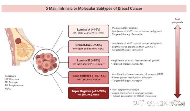 女性第一癌来袭 看护花使者如何擒癌制敌 知乎