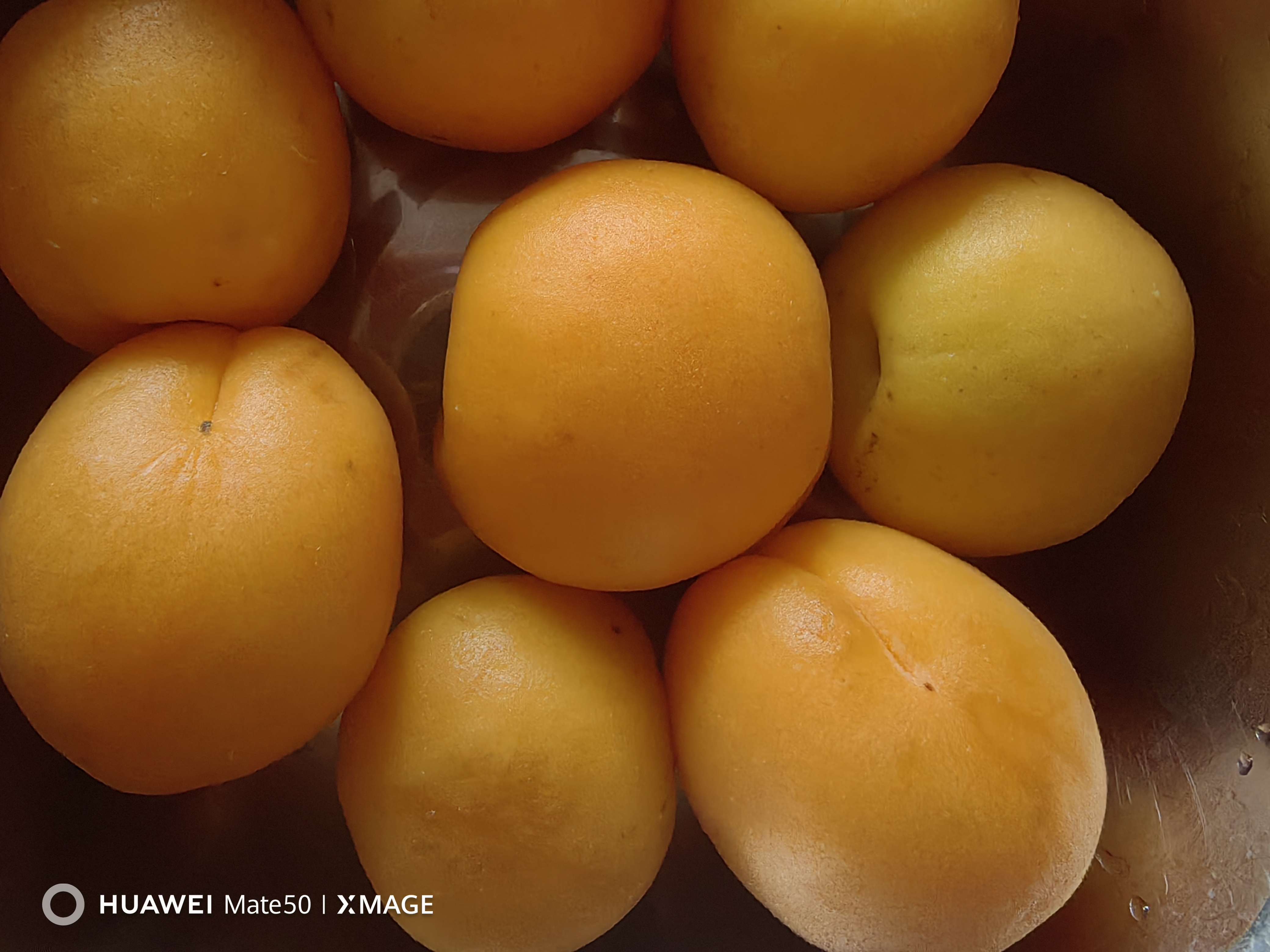 图片[1]-人生中第一次吃杏子，多多买菜麦黄杏-墨铺