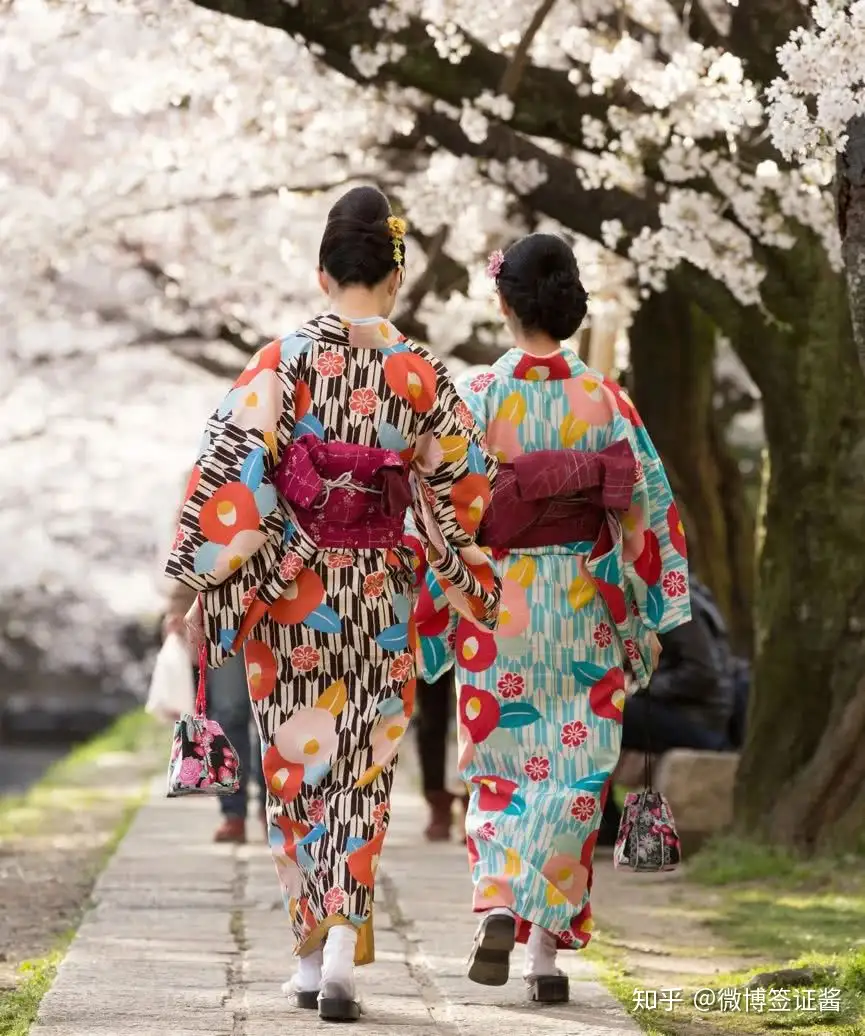 金通しの黒地に朧げな桜が描かれた訪問着 絞り 着物 浴衣/水着 着物