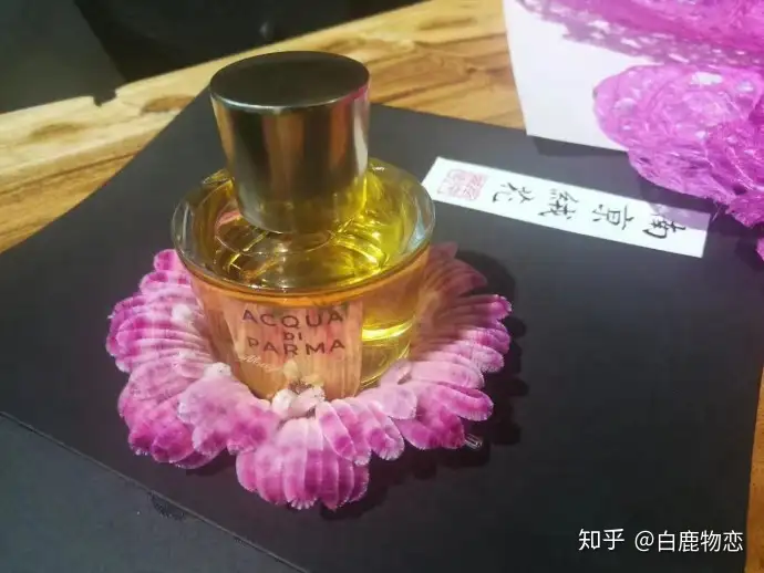 奔走相告（非遗绒花收徒）非遗绒花制作简介 第11张