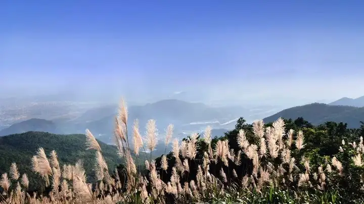东莞有什么必去的景点？