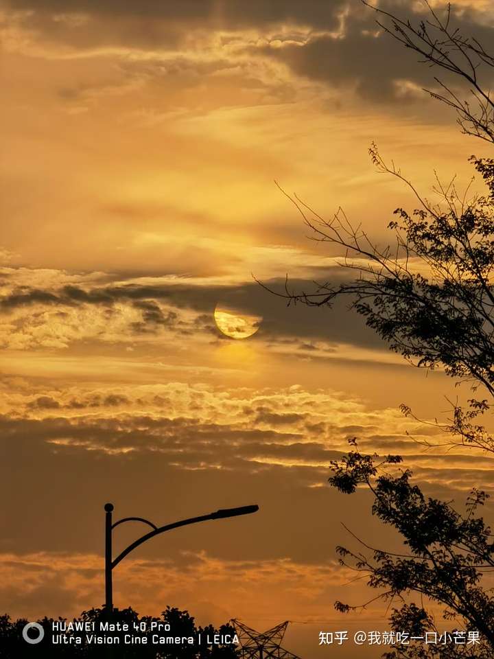 比较想知道哪款手机拍照好?