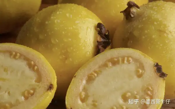 番石榴（Guayaba），墨西哥的大众水果 - 墨华网 (图2)