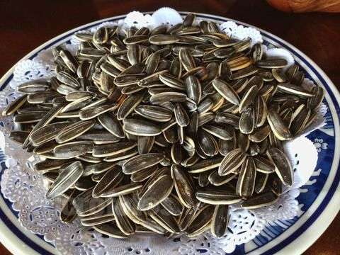 你知道市面上常见的瓜子有哪几类吗 知乎