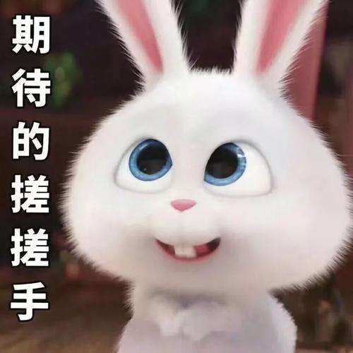 2020年走心月饼测评种草攻略，请接收！