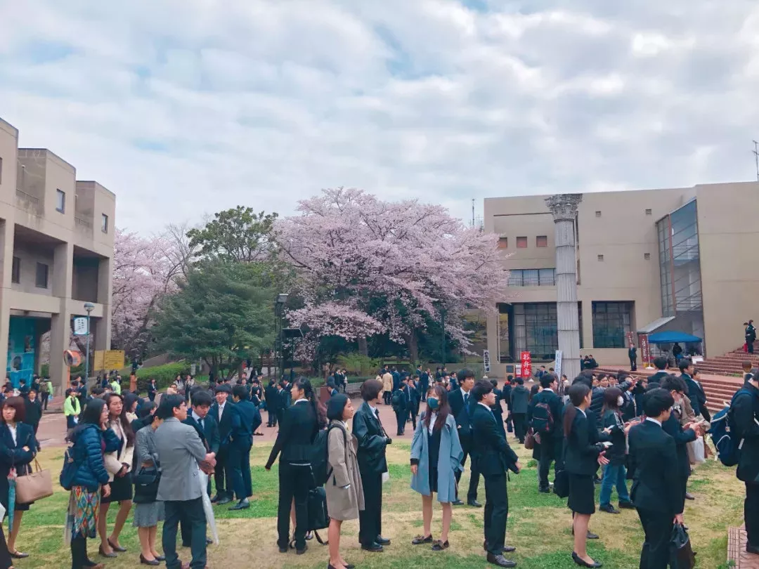 日本这10所大学氛围超好 犹如漫步在日剧中 知乎