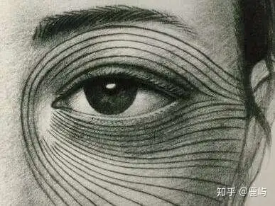 这个就是langer's线啦,也叫皮肤张力线这个面诊的时候基本都