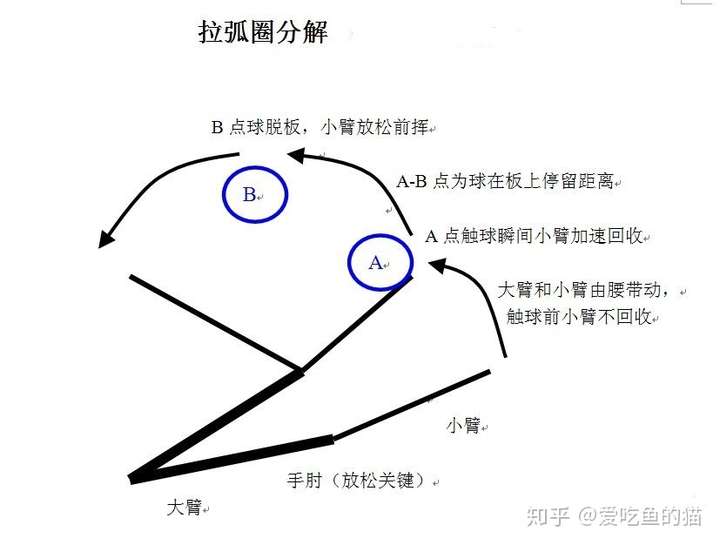 爱吃鱼的猫 健康生活,运动开始 一,我为什么买乒乓球拍 二,怎么快速