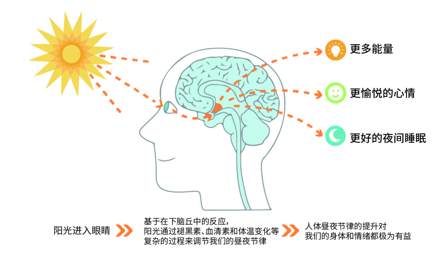 光对睡眠的影响不止在晚上 合理光照能让宝宝睡得更好 知乎