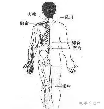 鼻塞刮痧的方法示意图图片