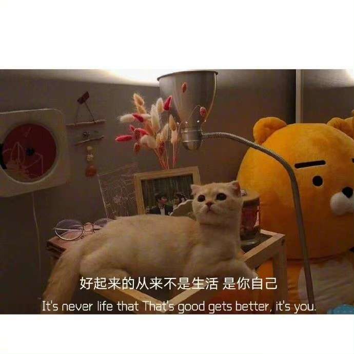有哪些神仙句子让你记到现在的?插图30 有哪些神仙句子让你记到现在的?插图30