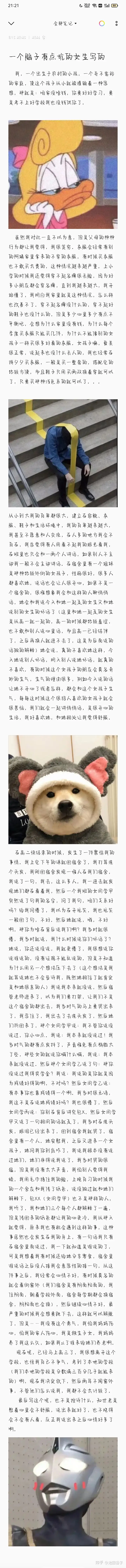 一个大树洞 知乎