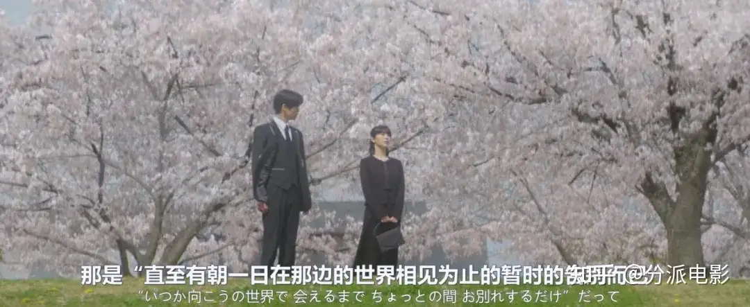 《不久,就要永别了》滨边美波x目黑莲,票房黑马!