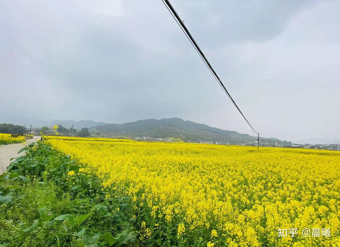凤栖谷游记 知乎