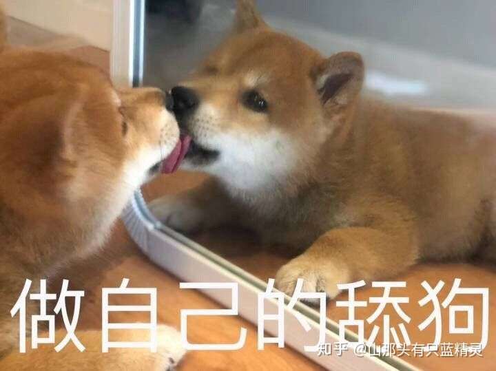 不如多花点时间在自己身上,好好爱自己,也比讨好舍友强啊