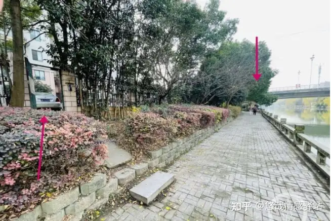 23岁妙龄女子深夜失踪，根据监控画面推断凶多吉少