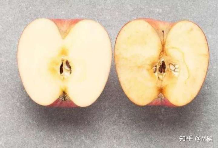 抗氧化抗糖化的重要性