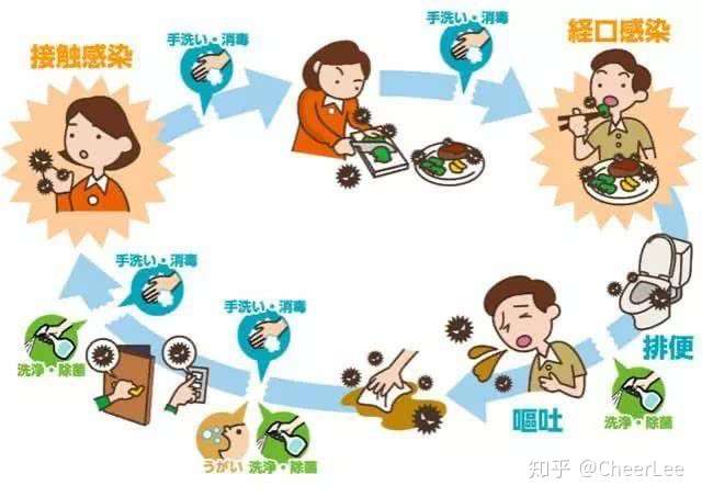 什么是「粪-口传播」?应当如何正确防护? - 知乎