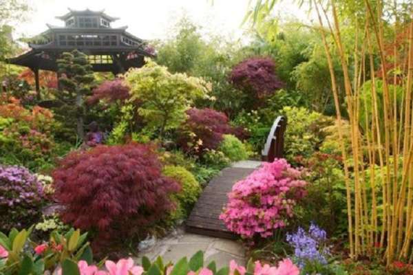 值得参考的庭院案例 英国四季花园 知乎