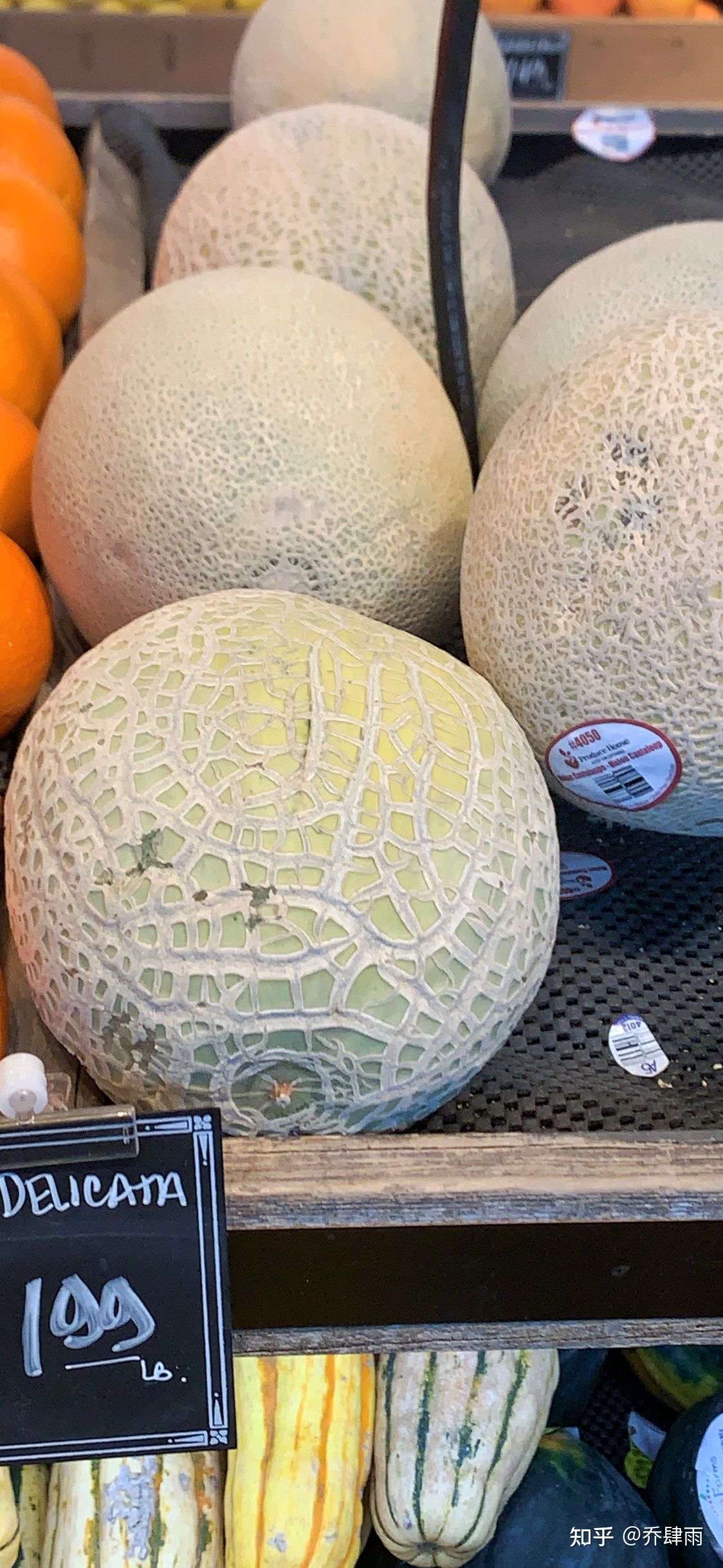 乔肆雨 的想法: 这瓜长得就很像jojo人会穿的衣服的样子.… - 知乎