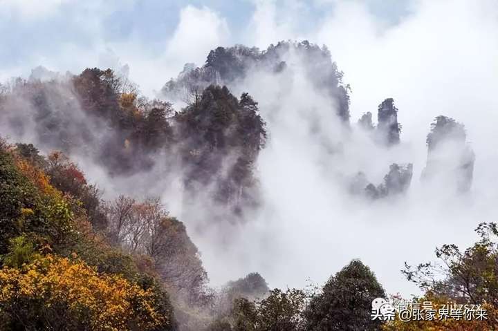 张家界旅游攻略自由行三天 张家界三天游玩