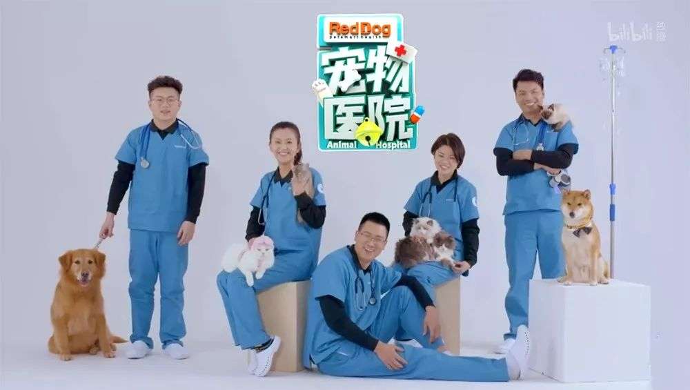 人宠亲情关系确立你做好对它一辈子负责的准备了吗 知乎