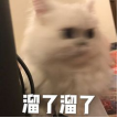 洗發(fā)水推薦排行榜 | 超全深度測評熱門洗發(fā)水：除菌祛痘、去屑止癢、控油蓬松、防脫養(yǎng)發(fā)？最強王者毫無懸洗發(fā)