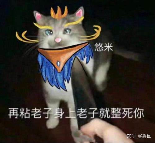 如何评价英雄联盟里的魔法猫咪悠米