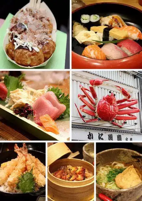 城市03 当一只大阪猫 总归是好的 知乎