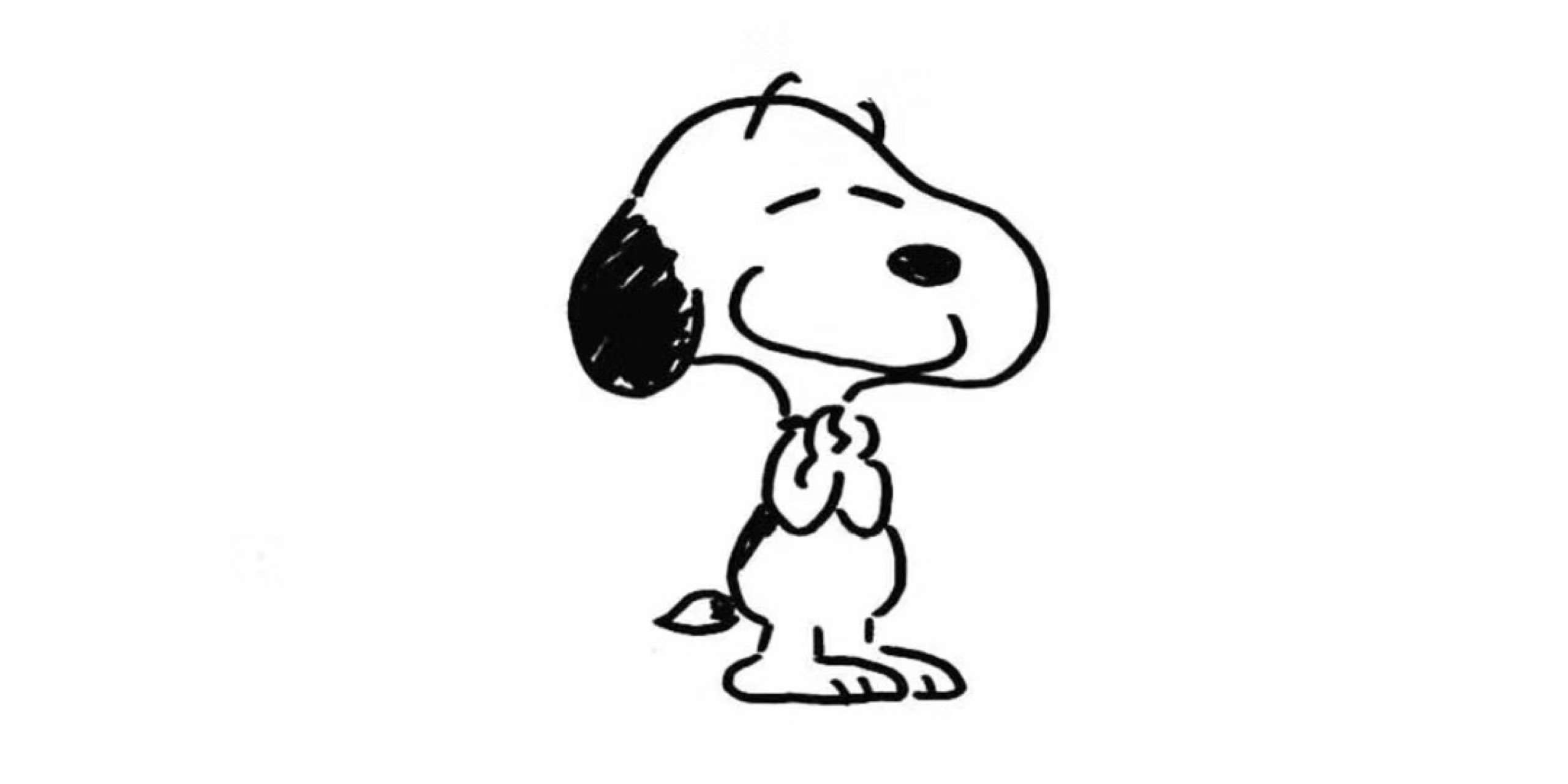 吊床小懒猫为什么有点多