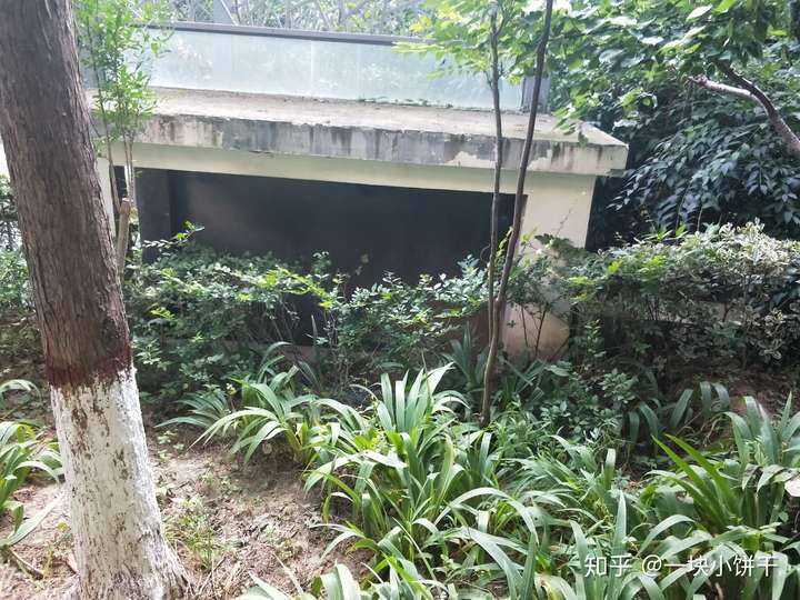 小区地下车库通风井出口敞开跟物业管家反映多次都未得到解决该怎样