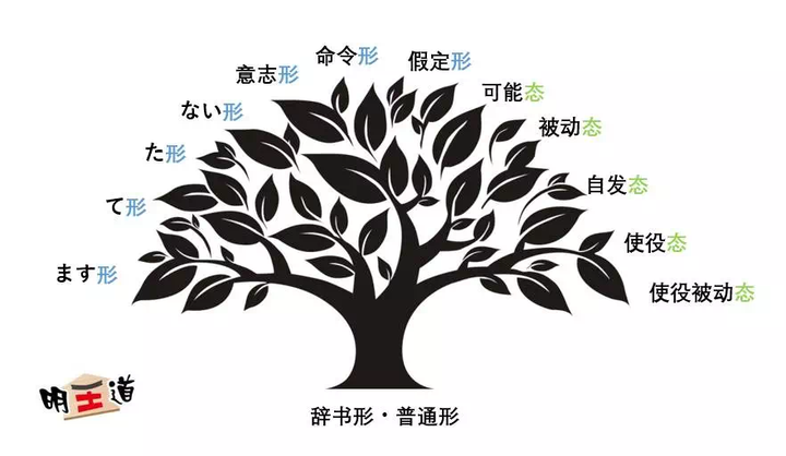 日语动词变化5态8形
