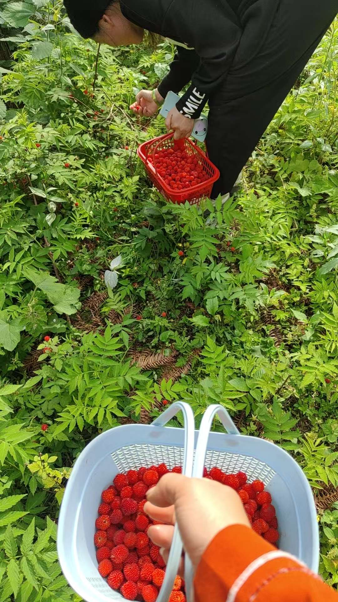 五一好洽泡-墨铺