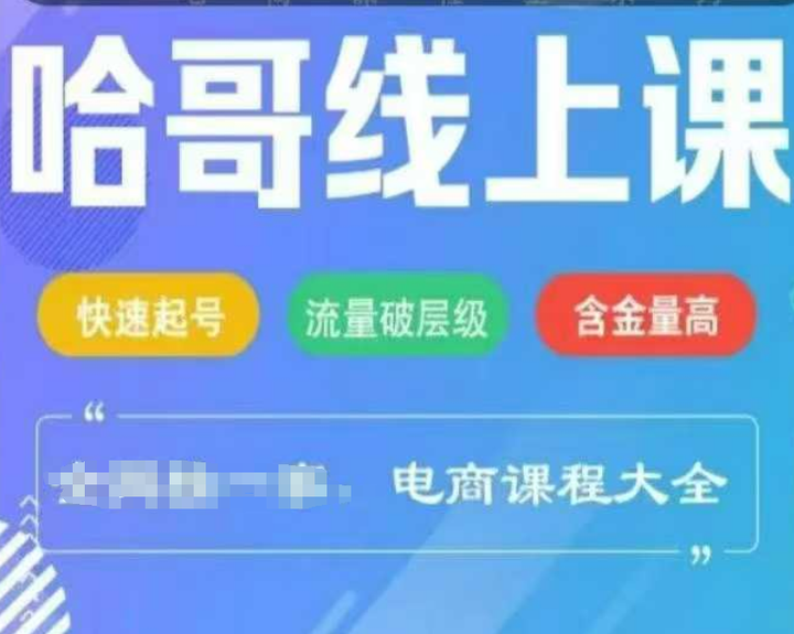 哈哥直播直播电商线上课2025年_-就爱副业网