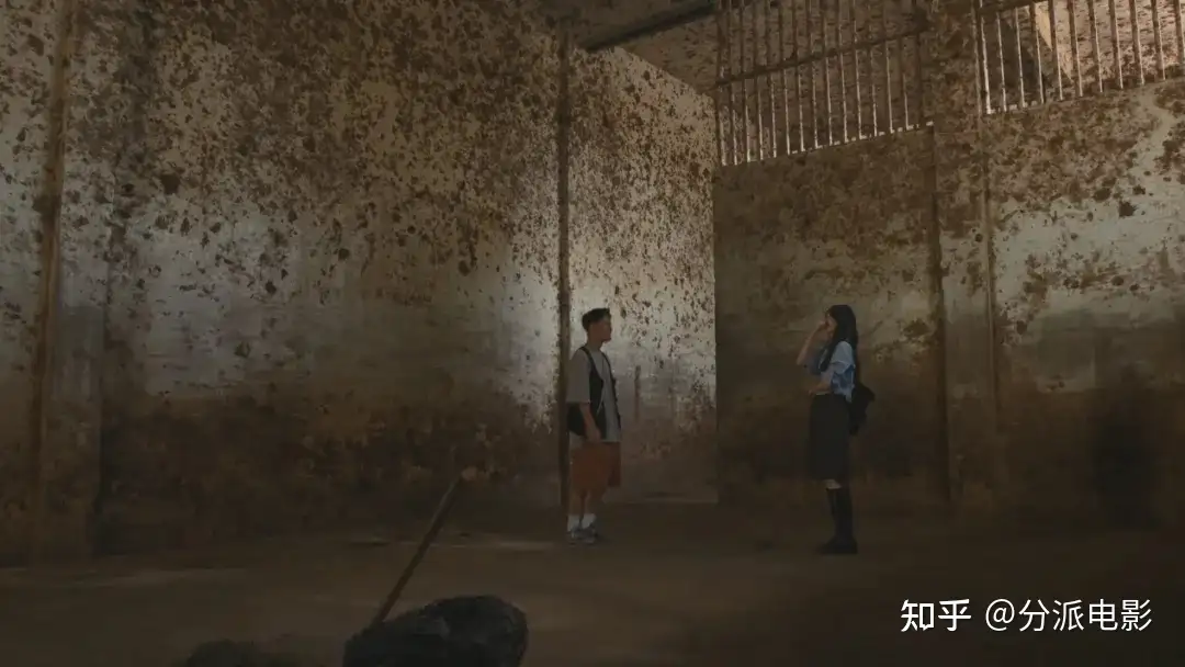 《动物园》豆瓣7.6,华语剧又出黑马!