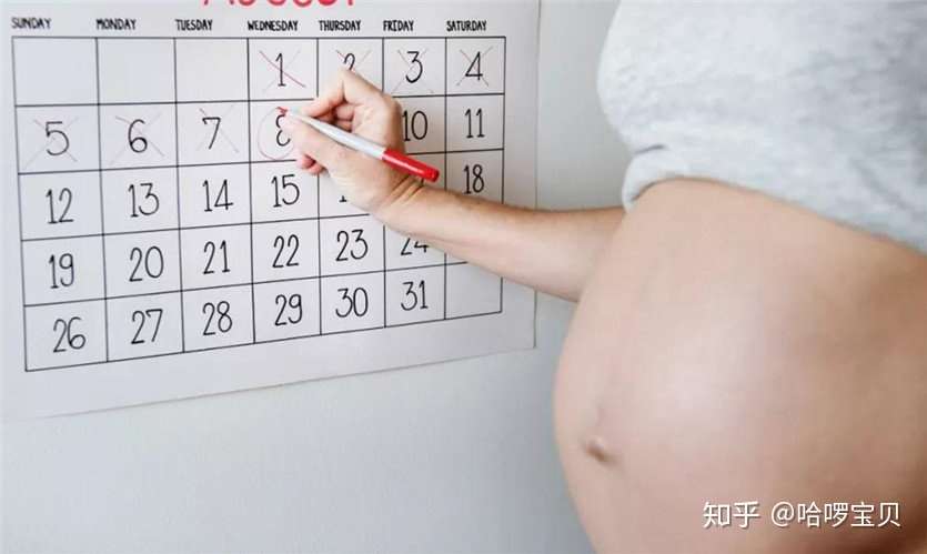 怀孕天数怎么算的 为什么b超检查的结果不同 不是你例假记错了 知乎