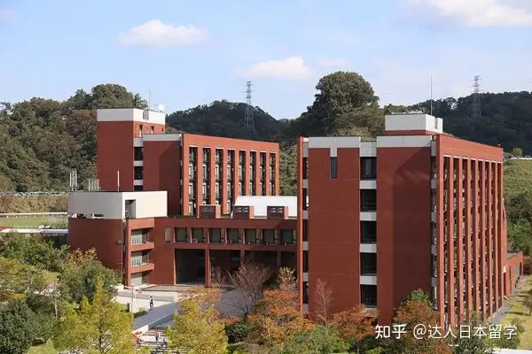 达人日本,日本留学