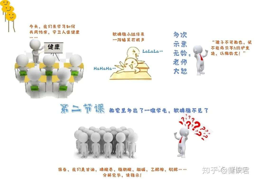 趣谈卵磷脂一 卵磷脂 变形 记 知乎