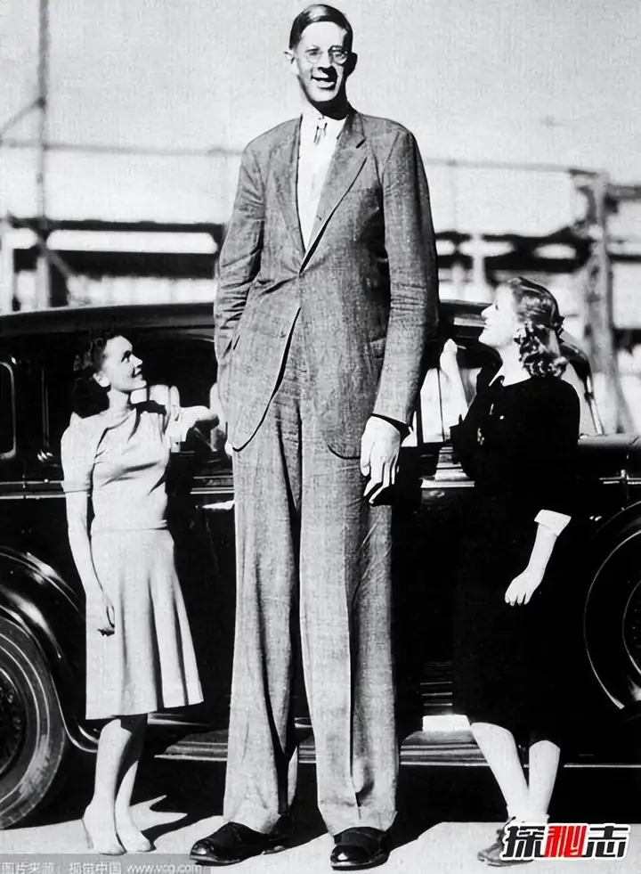 世界上最高的人是多少米（盘点十大世界上最高的人）