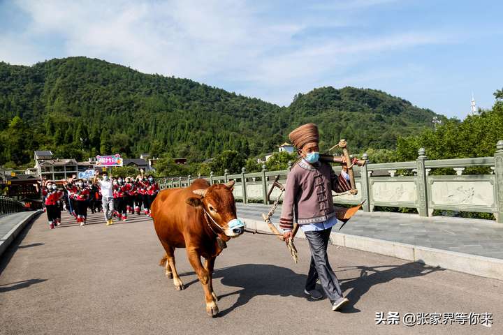 张家界旅游攻略自由行三天 张家界三天游玩